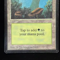 Magic the Gathering MTG Beta Forest v.2 (FOG) MP #4 - Image 3