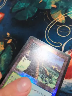 Yavimaya Coast Apocalypse FOIL Rare Magic the Gathering MTG DAMAGED - Image 3