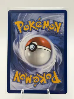 Pokemon Tepig Mega Black Star Promos 50 Holofoil First Partner Series 2 NM 050 - Image 2