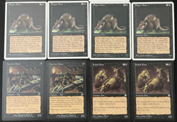 Vintage MTG Lot: 12 RATS Card Lot - NM/LP - Magic The Gathering - Image 3