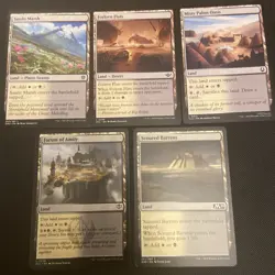 5 Card Bundle- Orzhov Lands (white/black); Magic: The Gathering - Image 1