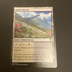 5 Card Bundle- Orzhov Lands (white/black); Magic: The Gathering - Image 2