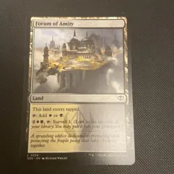 5 Card Bundle- Orzhov Lands (white/black); Magic: The Gathering - Image 5