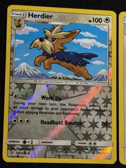 Pokemon Cosmic Eclipse Stoutland 248/236 Secret 176/236 Herdier 175 Lillipup 174 - Image 2