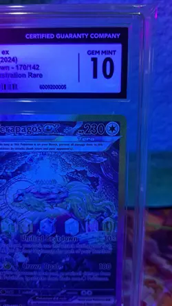 ✨✨SIR Pokemon / Terapagos Ex 170/142 ENG / Stellar Crown / CGC Gem Mint 10 💥 - Image 4