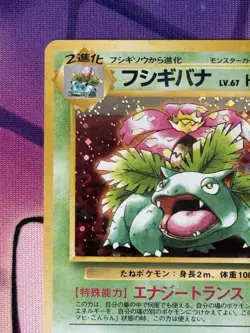Venusaur CD Promo Japanese Pokemon Card Game TCG Holo Rare No.003 MP Holo Bleeds - Image 2