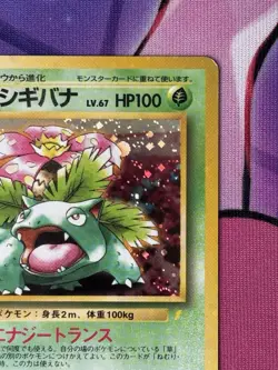 Venusaur CD Promo Japanese Pokemon Card Game TCG Holo Rare No.003 MP Holo Bleeds - Image 3