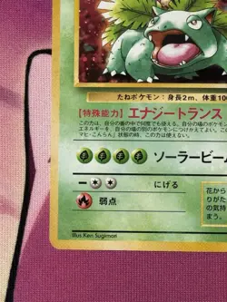 Venusaur CD Promo Japanese Pokemon Card Game TCG Holo Rare No.003 MP Holo Bleeds - Image 5