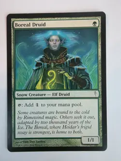 PLAYSET - Wizards of the Coast - MTG - Boreal Druid - Image 2