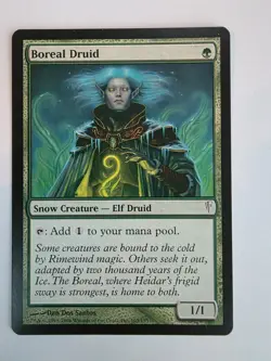 PLAYSET - Wizards of the Coast - MTG - Boreal Druid - Image 3