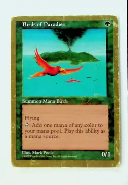 MTG Birds of Paradise 0/1 Gold Border 1998 World Champ EN - Image 1