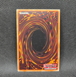 Yugioh Amazoness Empress (CIBR-EN095) 1st Edition (NEAR MINT) - Image 2
