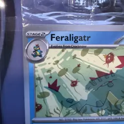 Pokemon Center 2024 Illustration Contest Sealed Feraligatr 213 Pikachu 214 215 - Image 2