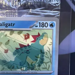 Pokemon Center 2024 Illustration Contest Sealed Feraligatr 213 Pikachu 214 215 - Image 3