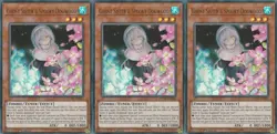 3x Ghost Sister & Spooky Dogwood | DUDE-EN005 | UR | 1st Ed | NM | YuGiOh - Image 1