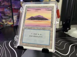 33~ Count NM Vintage BULK MTG LOT Island Revised Edition Land Cards 1994 + Case - Image 1