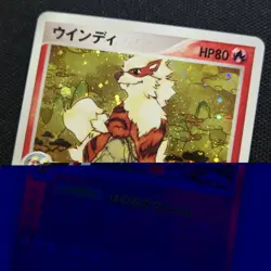 Arcanine 014/080 EX Team Magma vs Team Aqua Holo Rare Pokemon Card Japanese - Image 2