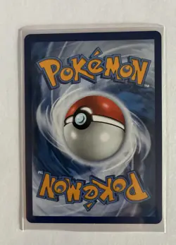 Pokemon First Partner Illustration Collection Series 1 /2 8 Card Lot Piplup - Image 3