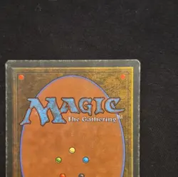 Wizards of the Coast MTG Royal Assassin Revised Edition Rare Regular ENG 1/1 - Image 5