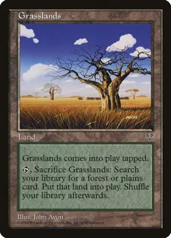 1x Grasslands Mirage EX+ x1 Mtg Magic the Gathering Changie - Image 1