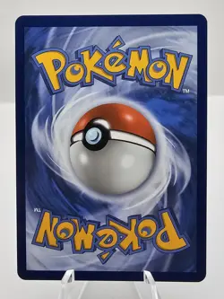 Pokemon TCG First Partner Illustration Series 1 Sinnoh Gen 4 Promo Set - NM - Image 5