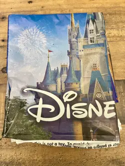 Disney Lorcana Curator’s Collection Heroines Box NEW IN HAND + Promo Card + MORE - Image 2