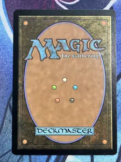 MTG 2014 Khans of Tarkir: Flooded Strand (233/269) LP - Image 2