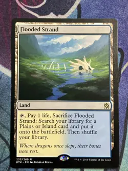 MTG 2014 Khans of Tarkir: Flooded Strand (233/269) LP - Image 5