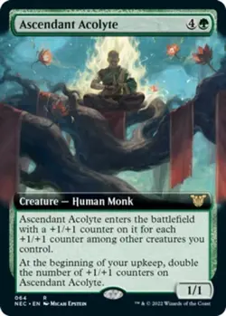 Ascendant Acolyte - Extended Art R MTG Commander: Kamigawa: Neon Dynasty NM - Image 1