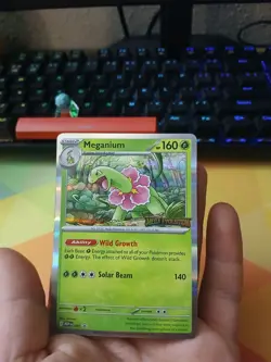 Meganium Mega Evolution Stamped Build and Battle Promo 001 Pokemon IN HAND NEW - Image 4