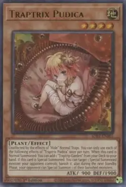Yugioh! Traptrix Pudica - SDBT-EN001 - Ultra Rare - 1st Edition Near Mint, Engli - Image 1