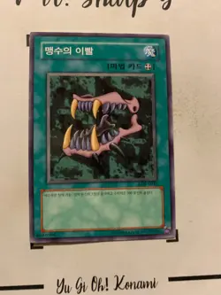 BEAST FANGS - LOB-K041 KOREAN Yu-Gi-Oh! CARD COMMON KONAMI TCG 2003 OCG ORIGINAL - Image 4