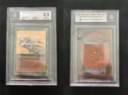 Sandstorm ARABIAN NIGHTS Mtg NEAR MINT Graded BGS 8.5 BASIC+++ (8/9/9/9) - Image 1