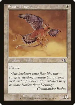 4x Suntail Hawk - MP - Odyssey block - SPARROW MAGIC mtg - Image 1