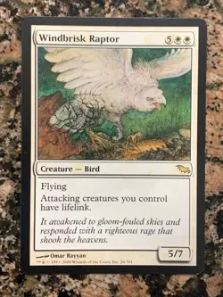 MTG Windbrisk Raptor x1 Shadowmoor NM, Magic the Gathering - Image 1