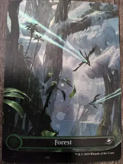 Forest Borderless Galaxy Foil - EOE 0371 - NM - MTG Magic - Image 2