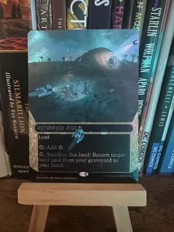 Petrified Field (0122) (Borderless) Galaxy Foil - Edge of Eternities MTG - Image 1