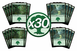 Magic the Gathering MTG x30 Various Forest Lot - Tarkir Dragonstorm - Image 1