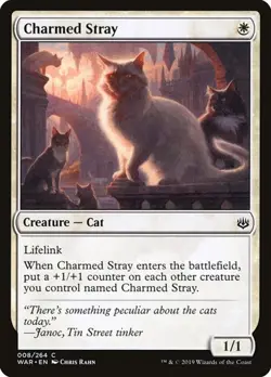1x Charmed Stray NM Eng MTG - War of the Spark - Image 1