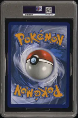 2025 POKEMON PROMO BLOOMING WATERS PREMIUM COLLECTION-JUMBO BLASTOISE EX PSA 10 - Image 2