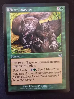 Acorn Harvest 118/143 - Torment - Magic: The Gathering - (LP) - Image 1