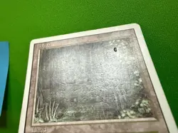 1x HP Bayou Revised MTG Magic the Gathering English #2 - Image 3