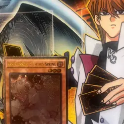 YuGiOh Ash Blossom & Joyous Spring UP01-EN003 Ultimate Rare - Image 4