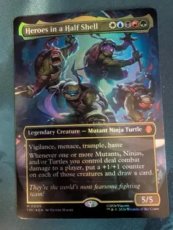 Heroes in a Half Shell (Borderless) - Image 1