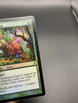 Fertile Ground Lorwyn Foil MTG 211 MP - Image 4