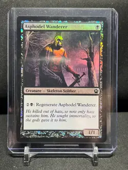 Asphodel Wanderer - Foil - Magic MTG 2013 Theros - LP - Image 1