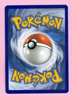 Totodile 048 Pokemon First Partner Illustration Collection Promo Holo NM - Image 2