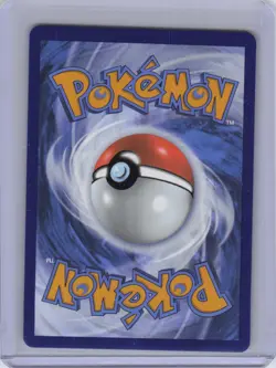 Pokemon TCG Brandon (Secret) Holo Secret Rare SWSH12: Silver Tempest 203/195 NM - Image 2