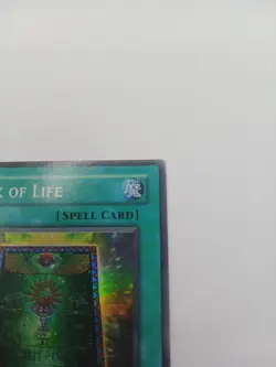 Book of Life PGD-033 Super Rare Yugioh 🔥NM🔥 - Image 4