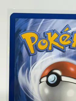 Poochyena GG33/GG70 SWSH: Crown Zenith Galarian Gallery Ultra Rare Pokemon NM - Image 3